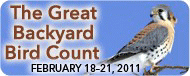 Great Backyard Birdcount 2011