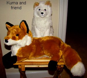 Kima and the fox