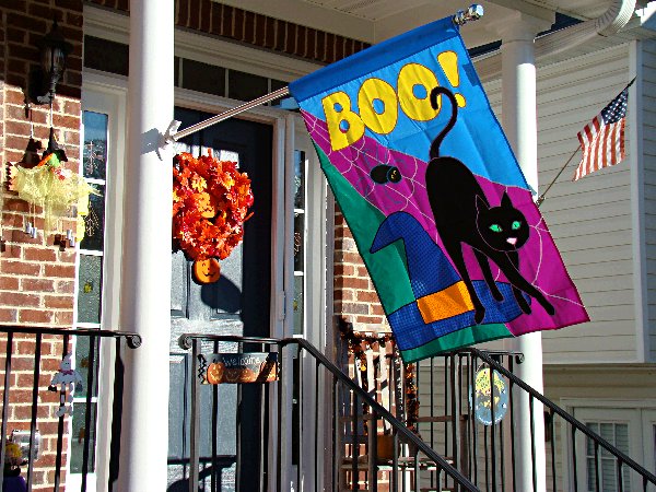 the Halloween flag