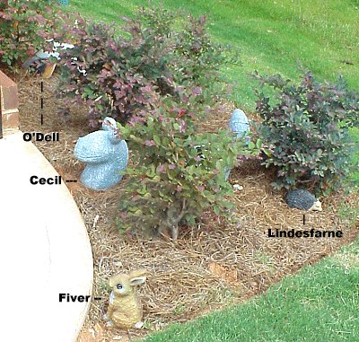 Garden ornaments 2