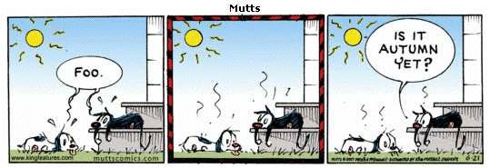 Mutts comic strip for the summer solstice 2007
