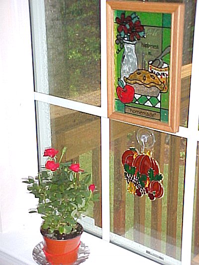 Rose-San in her window