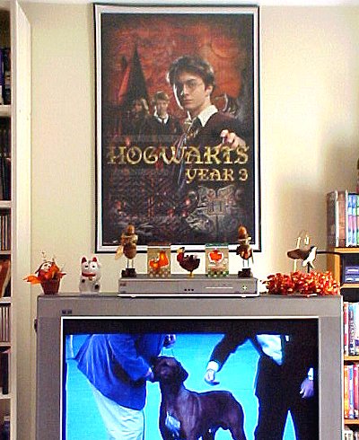 Harry Potter, Thanksgiving, TV