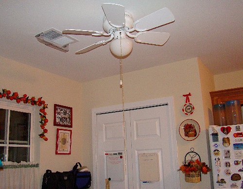 the little fan in the kitchen