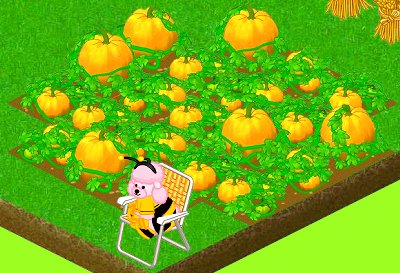 Webkinz Halloween pumpkin patch