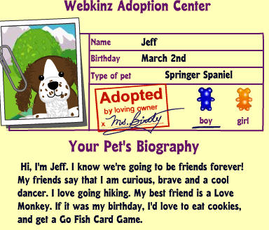 webkinz springer spaniel